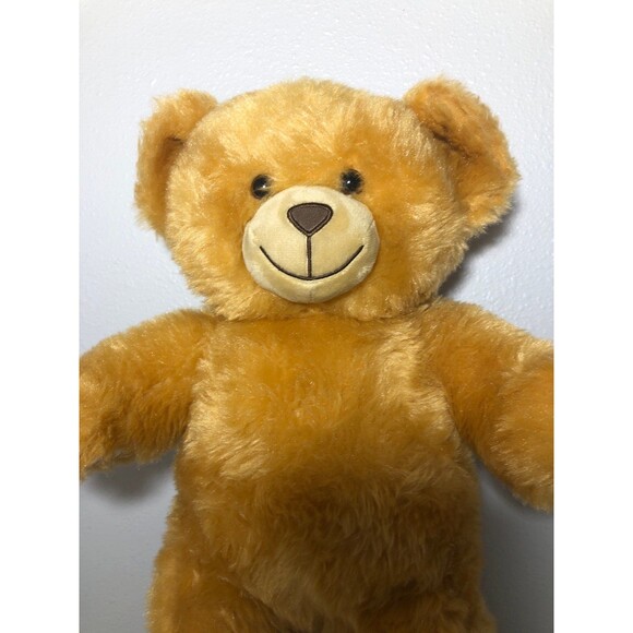 Build-A-Bear Read Bear - Picture 6 of 7